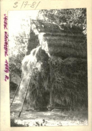 bróg, skan 3