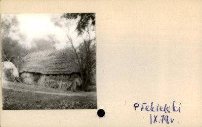 stodoła, skan 2