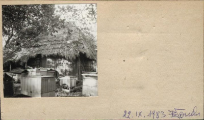 stodoła, skan 2