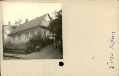 dom, skan 2