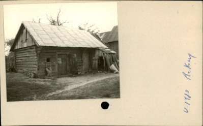 stajnia, skan 2