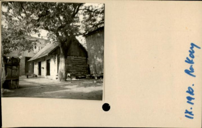 stajnia, skan 2
