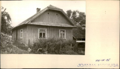 dom, skan 2