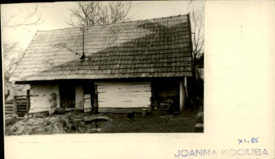 obora, skan 2