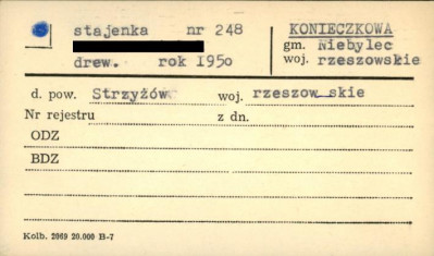 stajenka, skan 1