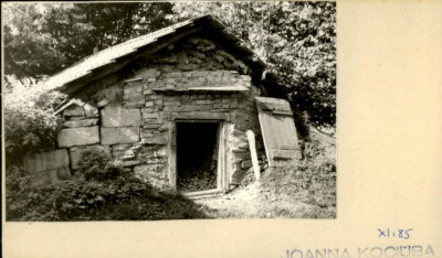 piwniczka, skan 2