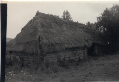 stodoła, skan 3