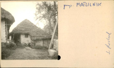 stajnia, skan 2
