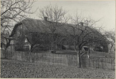 czworak, skan 3
