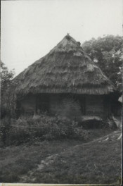 chałupa, skan 3