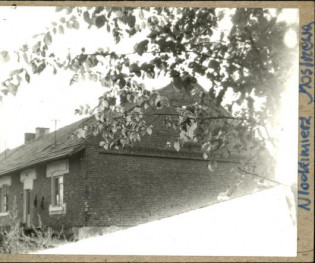 czworak, skan 3