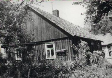 dom, skan 3