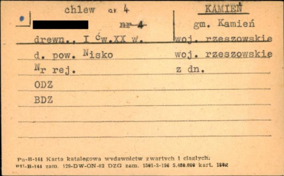 chlew, skan 1