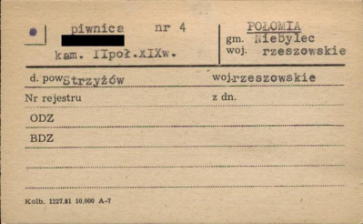 piwnica, skan 1