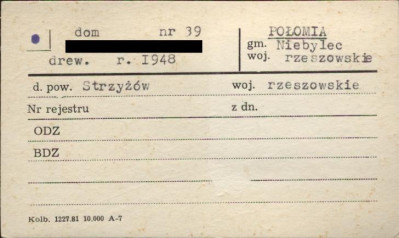 dom, skan 1