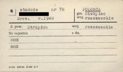 stodoła, skan 1