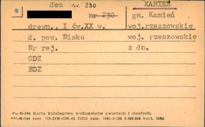 dom, skan 1