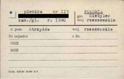 piwnica, skan 1