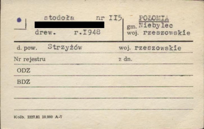 stodoła, skan 1