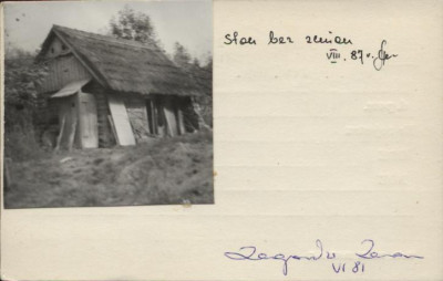 stajnia, skan 2