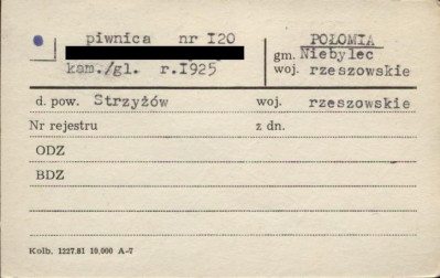 piwnica, skan 1