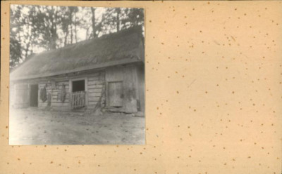 stajnia, skan 2