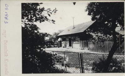 stajnia, skan 2