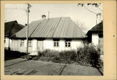 dom, skan 3