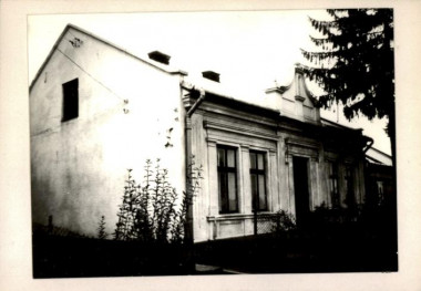 dom, skan 2