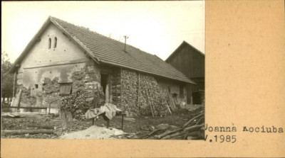 stajnia, skan 2