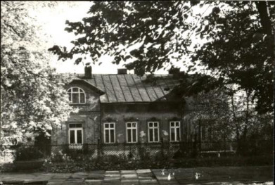 willa, skan 2