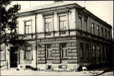dom, skan 2