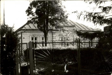 willa, skan 2