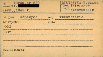 żuraw studzienny, skan 1