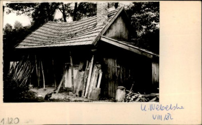kurnik, skan 2