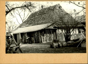 chałupa, skan 3