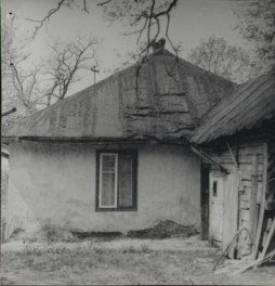 dom, skan 4