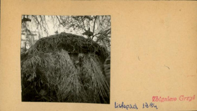piwnica, skan 2