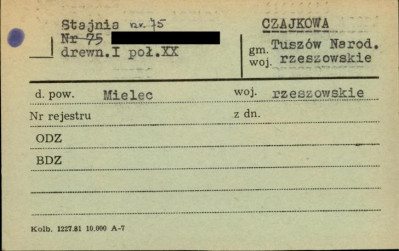 stajnia, skan 1