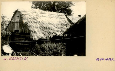 stajnia, skan 2
