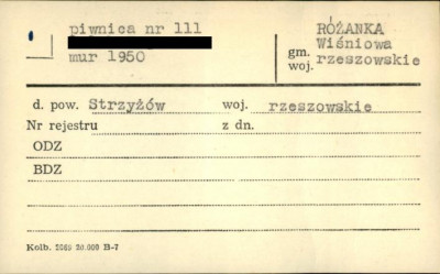 piwnica, skan 1