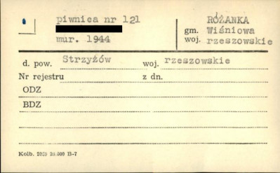 piwnica, skan 1