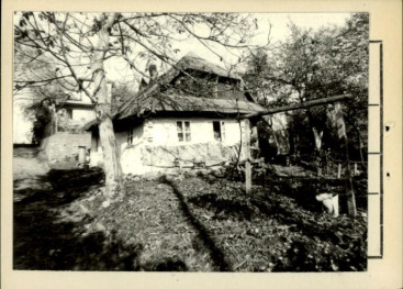 dom, skan 3
