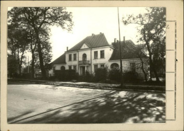 willa, skan 2