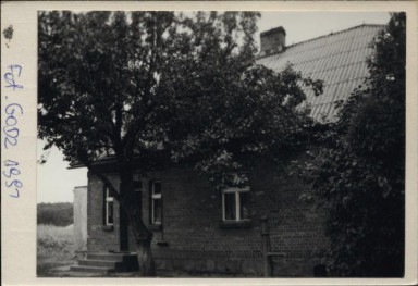 dom, skan 3