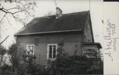 dom, skan 2