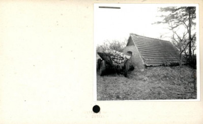 piwnica, skan 2