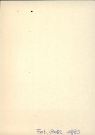 oboraw zespole zagrody, skan 2