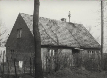 dom, skan 3
