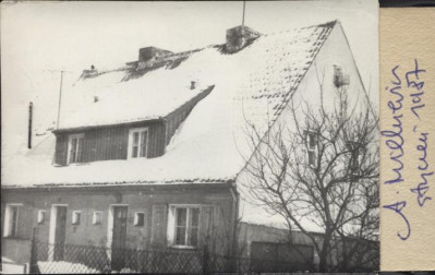 dom, skan 2